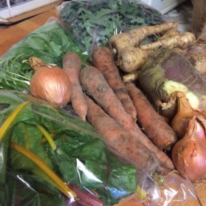 Veg bag contents - kale, salad leaves, chard, parsnips, swede, onions, carrots - midorigreen.co.uk