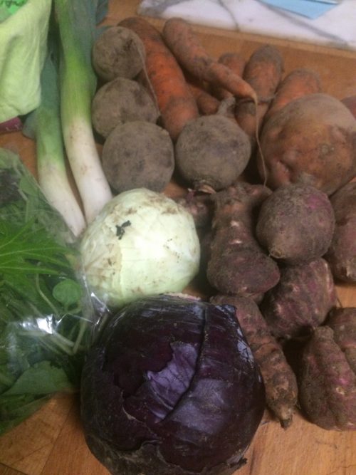veg bag contents cabbage carrots leeks beetroot salad leaves jerusalem artichokes midorgreen.co.uk