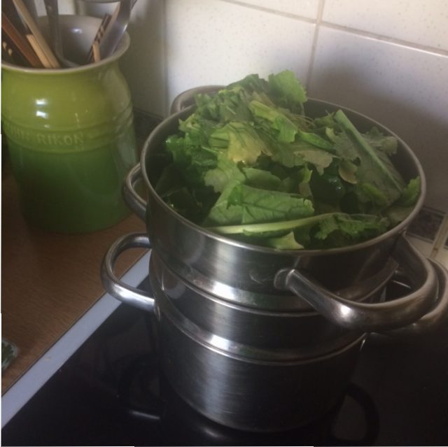 Steaming turnip greens | midorigreen.co.uk